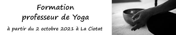Formation de professeur de Yoga (13)
